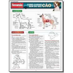 Como Cuidar Bem Do Seu Cão - BARROS FISCHER