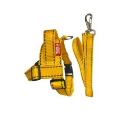 Conjunto Peitoral Colorido com Guia para Cachorro - Canadá K9 Acessóri