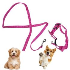 Coleira Peitoral H Ajustavel Cao Gato Cachorro Guia Passeio Regulavel 