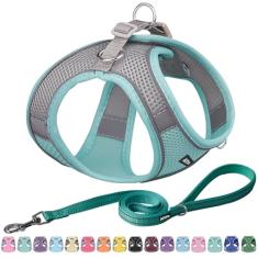 AIITLE Conjunto de coleira e coleira para cães Step in – Arneses de verão à prova de fuga com malha macia e faixas refletivas, arnês ajustável para animais de estimação ao ar livre para cães pequenos