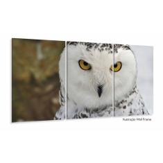 Quadros Decorativos Coruja Branca 120x60 3 peças em Tecido