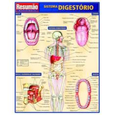 Sistema Digestorio - Resumão