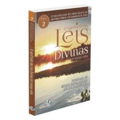 Significado das Leis Divinas em Nossas Vidas (O) - Estudos reflexivos 