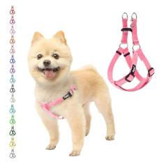 PUPTECK Peitoral para cães, macio, ajustável, básico, de nylon, para passear ao ar livre com etiqueta de identificação