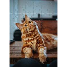 Kit 4 Quebra-Cabeças Cognitivos Gatinhos Novos 40 Peças