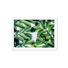 Quadro Decorativo Folhagem Folha 3 Moldura Branca 33x43cm - Quartinhos