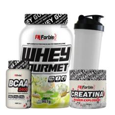 Kit Whey Protein Gourmet + Creatina 300g + BCAA 100 cáps + Coqueteleir