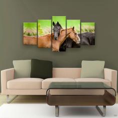 Quadro Decorativo Cavalos No Campo Hd 129x61 Quarto Sala