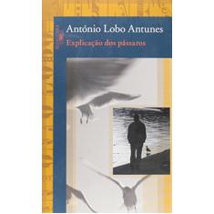 Explicação dos pássaros