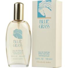 Perfume Feminino Blue Grass Elizabeth Arden Eau De Parfum Spray 100 Ml