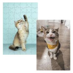 Kit 2 Quebra-cabeças Cognitivos Gatinhos  de 60 peças - Reidopendrive