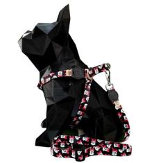 Coleira para cachorro com guia longa 2 metros para passeio modelo peit