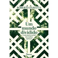 Livro - Um mundo dividido