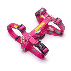 Peitoral H para cachorros Olivia