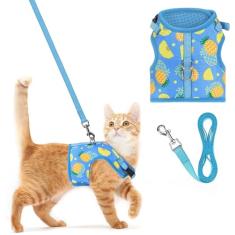PUPTECK Conjunto de coleira e coleira de malha macia para gatos, acolchoados, à prova de fuga, para gatos, cães pequenos, coelhinhos