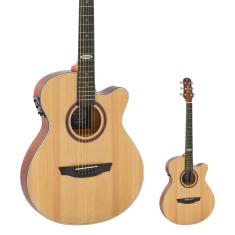 Violão Elétrico Aço Super Flat Strinberg SF200C NS