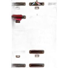 Livro Lineu, A Escada E As Cartas