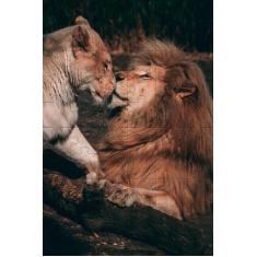 2 Quebra-Cabeça Cognitivo Idosos Animais Selvagens 60 pc - Coleção TEA