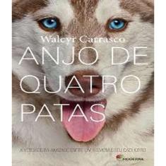 Anjo de quatro patas