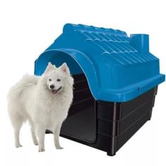 CASA RINOPET N°5 AZUL