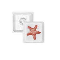 Kit de atualização de teclado mecânico PBT Starfish Marine Life com ilustração vermelha