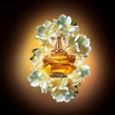 Eudora Magnific Audaz Eau de Parfum 75ml