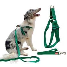 Coleira Peitoral com Regulagem Traseira G + Guia para Cachorro - Canad