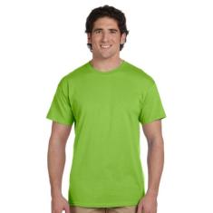 Camiseta Hanes 5170 EcoSmart