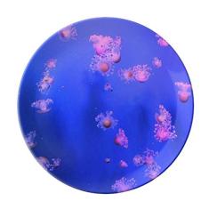 Prato decorativo de porcelana Salver Salver Prato de jantar para jantar