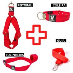 Kit Confortável Coleira Peitoral Guia Focinheira Pitbull Golden Roweil
