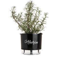 Vaso Auto Irrigável Gourmet N03 - Médio - Raiz Preto, Alecrim