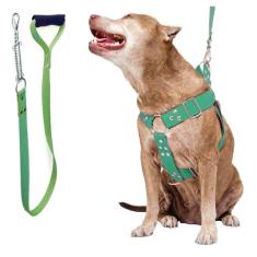 Coleira Peitoral Cachorro Guia Adaptador Fila Pastor extra grande - de