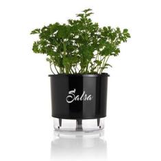 Vaso Auto Irrigável Gourmet N03 - Médio - Raiz Preto, Salsa
