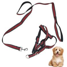 Coleira Peitoral H Regulavel Guia Cachorro Pet Gato Adestramento Passe