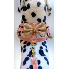 Peitoral Coleira E Guia Charminho Tamanho 2 -Cães Linha Luxo - Bicho C