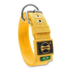 Coleira Cachorro Grande Pit Bull Fit(amarelo) - Amorosso, Amarelo, P