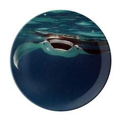 Prato decorativo de porcelana Salver Salver Prato de jantar para skate de rai oceano