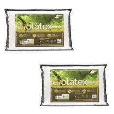 Kit de 2 Travesseiros Alto Evolátex - Fibrasca