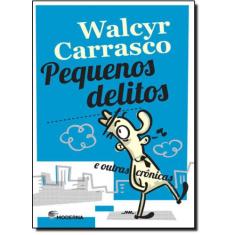 Livro - Pequenos delitos