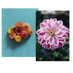 Kit 2 Quebra-Cabeças Cognitivos Idosas Flores Do Brasil 60 - Reidopend