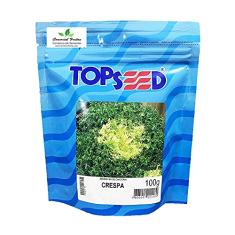 Sementes de Chicória Crespa Pcte C/ 100 Gramas