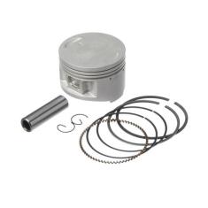 Pistao Kit C/anel Kmp Xt 225 1.00 F016
