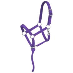 Tough 1 Cabresto em miniatura acolchoado de nylon, roxo, pequeno