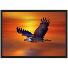 Quadro Decorativo Águia Ave Animais Decoração Com Moldura - Vital Quad