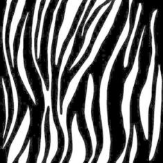 Papel De Parede Adesivo Animal Zebra 5196722835 0,58x3,00m