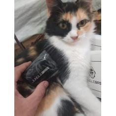 Fone De Ouvido Sem Fio Bluetooth Tws F9 e Carregador Portátil