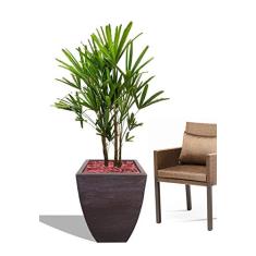 Vaso Planta 60x40 Moderno Trapézio Polietileno