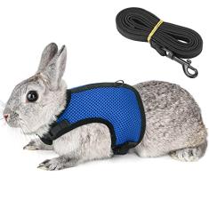 Peitoral coelho coelho