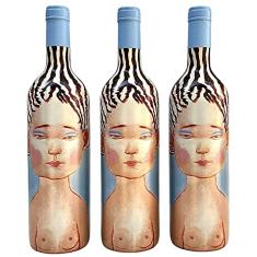 Vinho Chileno Vik La Piu Belle Tinto | Kit com 3 Garrafas | Oferta