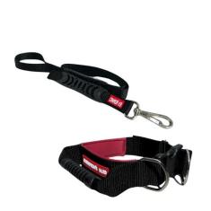 Coleira com Alça com Guia para Cães de Grande Porte - Canadá K9 Acessó